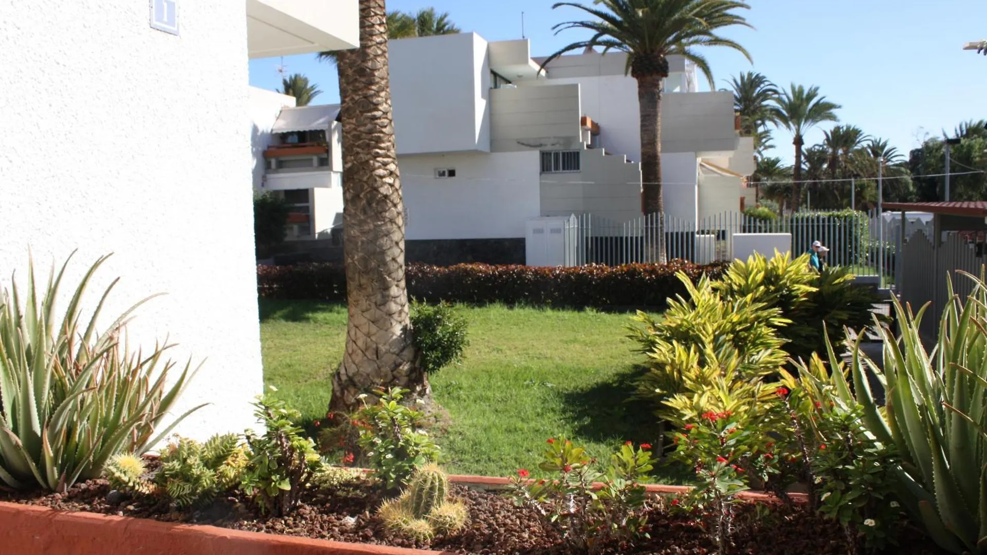 Appartamento Primavera Tenerife Sur Arona  0*, Arona (Tenerife) Spagna